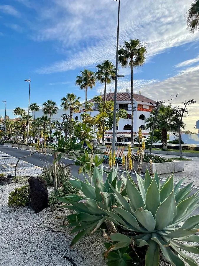 El Dorado Estrella Apartment Playa de las Americas  Playa de las Americas (Tenerife)